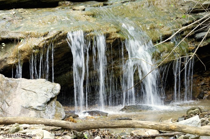 On a hike close to an area called Windcave. A great area of a variety of wildlife to be discovered, observed and photographed. 
