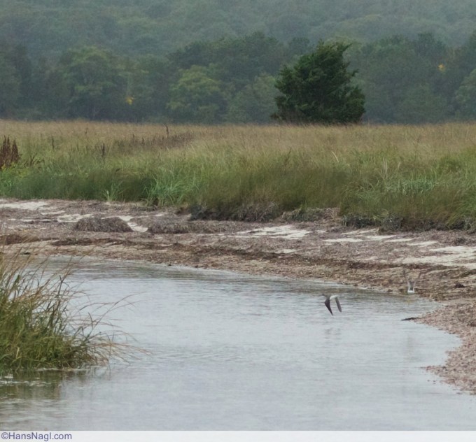 The first couple of colder days still made this afternoon near Onset in Massachusetts a rewarding visit. Onset Massachusetts - ©HansNagl.com 