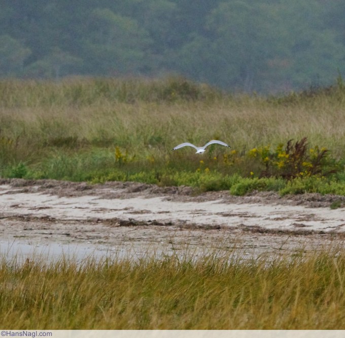 The first couple of colder days still made this afternoon near Onset in Massachusetts a rewarding visit. Onset Massachusetts - ©HansNagl.com 