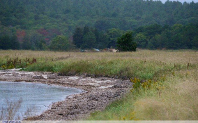 The first couple of colder days still made this afternoon near Onset in Massachusetts a rewarding visit. Onset Massachusetts - ©HansNagl.com 