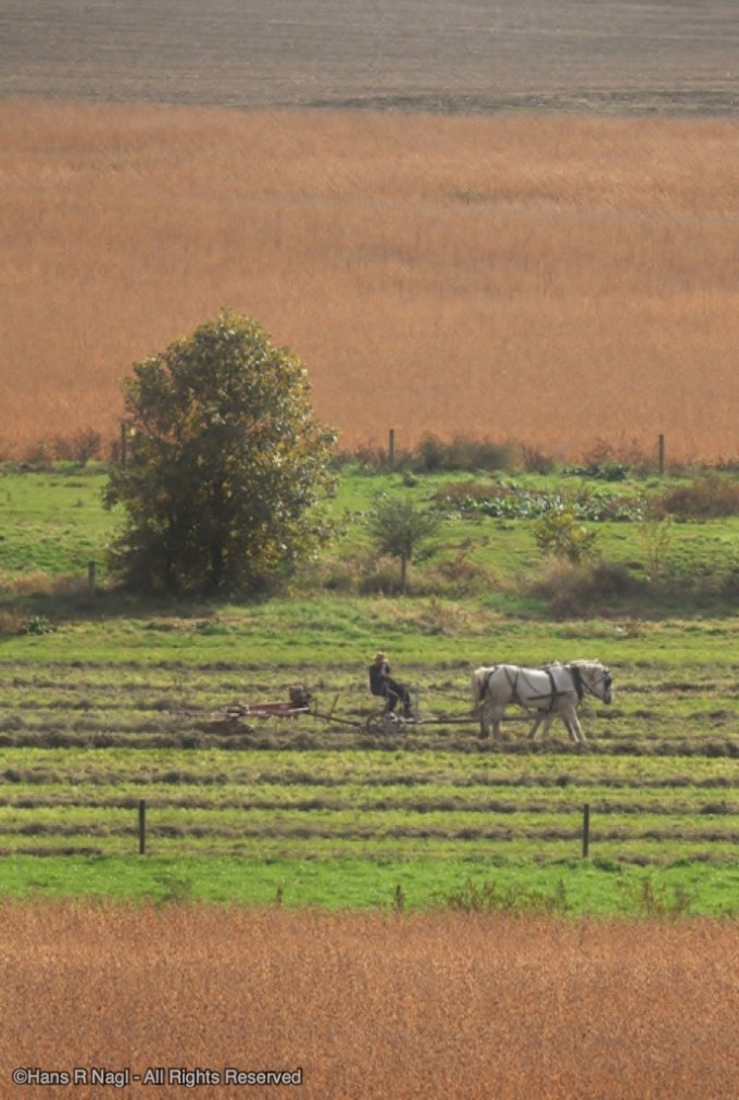 Photos throughout the year from Strasburg railroad and surrounding area in Lancaster County, Pennsylvania - USA
