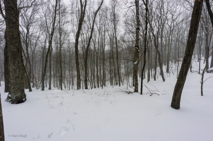 Bethel_March_2017_11