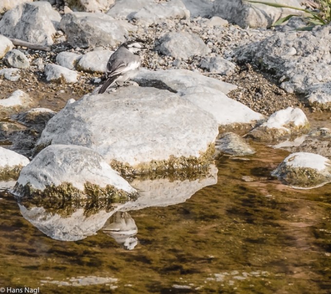 #小川町埼玉, #Ogawamachi, #Saitama, #Japan, #日本, #nikon, #アート, #自然, #ハイキング, #山, #春, #naturephotography, #landscapes, #landscape, #food, #spring, #forest, #nikon_photography, #mountain, #colorful, #sun, #peace, #green