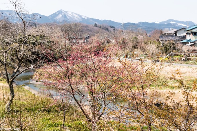 #小川町埼玉, #Ogawamachi, #Saitama, #Japan, #日本, #nikon, #アート, #自然, #ハイキング, #山, #春, #naturephotography, #landscapes, #landscape, #food, #spring, #forest, #nikon_photography, #mountain, #colorful, #sun, #peace, #green