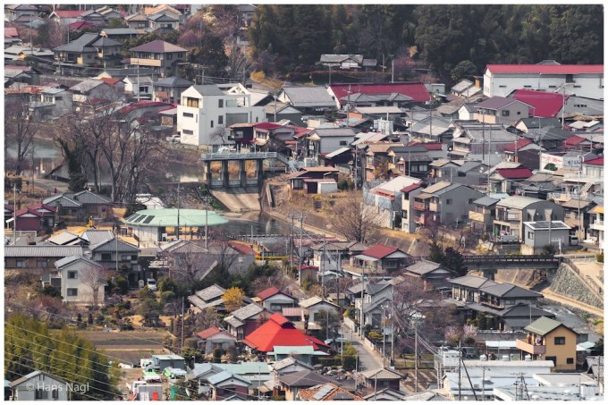 #小川町埼玉, #Ogawamachi, #Saitama, #Japan, #日本, #nikon, #アート, #自然, #ハイキング, #山, #春, #naturephotography, #landscapes, #landscape, #food, #spring, #forest, #nikon_photography, #mountain, #colorful, #sun, #peace, #green
