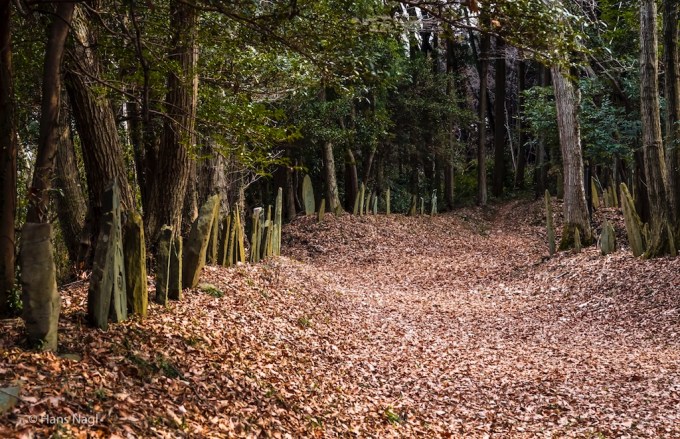 #小川町埼玉, #Ogawamachi, #Saitama, #Japan, #日本, #nikon, #アート, #自然, #ハイキング, #山, #春, #naturephotography, #landscapes, #landscape, #food, #spring, #forest, #nikon_photography, #mountain, #colorful, #sun, #peace, #green