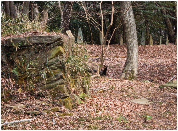 #小川町埼玉, #Ogawamachi, #Saitama, #Japan, #日本, #nikon, #アート, #自然, #ハイキング, #山, #春, #naturephotography, #landscapes, #landscape, #food, #spring, #forest, #nikon_photography, #mountain, #colorful, #sun, #peace, #green