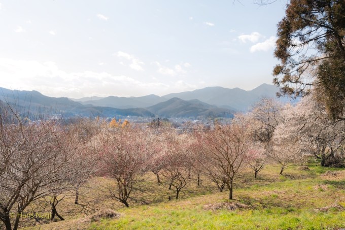 #小川町埼玉, #Ogawamachi, #Saitama, #Japan, #日本, #nikon, #アート, #自然, #ハイキング, #山, #春, #naturephotography, #landscapes, #landscape, #food, #spring, #forest, #nikon_photography, #mountain, #colorful, #sun, #peace, #green