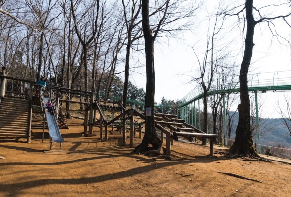 #小川町埼玉, #Ogawamachi, #Saitama, #Japan, #日本, #nikon, #アート, #自然, #ハイキング, #山, #春, #naturephotography, #landscapes, #landscape, #food, #spring, #forest, #nikon_photography, #mountain, #colorful, #sun, #peace, #green