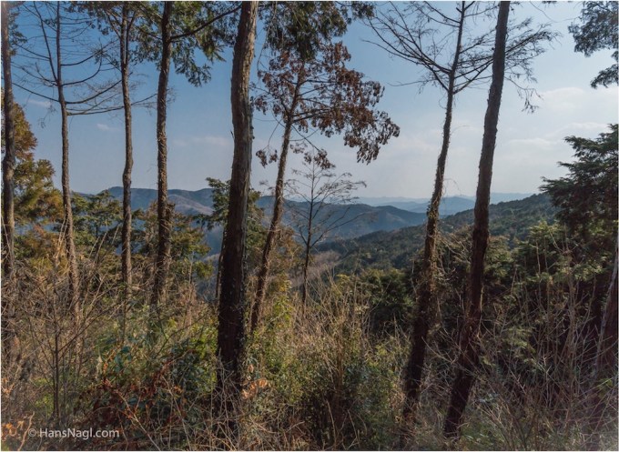 #小川町埼玉, #Ogawamachi, #Saitama, #Japan, #日本, #nikon, #アート, #自然, #ハイキング, #山, #春, #naturephotography, #landscapes, #landscape, #food, #spring, #forest, #nikon_photography, #mountain, #colorful, #sun, #peace, #green