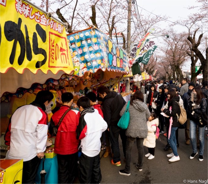 常盤平さくらまつり2017年 #11