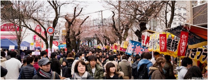 常盤平さくらまつり2017年 #23
