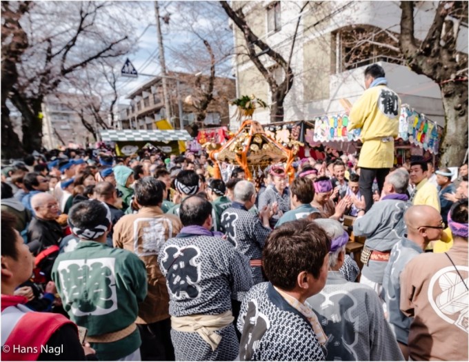 常盤平さくらまつり2017年 #27