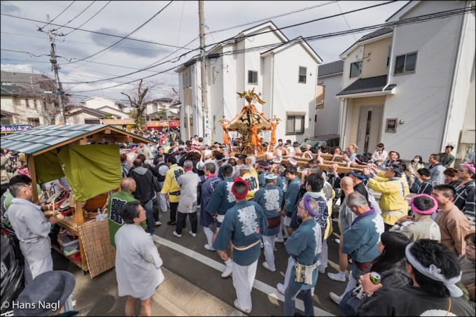 常盤平さくらまつり2017年 #26