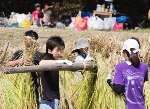 #Ogawamachi, #Saitama, #Japan, #naturephotography, #landscapes, #landscape, #mountain, #colorful, #sun, #peace, #green, #history, #silk, #geisha, #tourism, #tour, #travel, #trip, #romantic, #dream, #joy, #vacation, #adventure, #harvest, #photo, #guide, #rice, #English,＃小川町埼玉, #小川町, #埼玉, #日本,＃アート,＃自然,＃ハイキング,＃山,＃春,＃写真,＃マウント,＃カラー,#平和,＃緑,＃建築,＃建物,＃歴史,#シルク,#芸者,＃観光,＃旅行,＃旅行,＃ロマンチック,＃ドリーム,＃喜び, #養蚕, #小京都, #武蔵の小京都, #日本語, #ナーグル, #ハンス, #米, #田んぼ, #Natur, #Landschaft, #Berg, #Sonne, #Grün, #Frieden, #Seide, #Geschichte, #Reise, #Traum, #Wandern, #Foto, #Führung, #Deutsch, #Urlaub, #Abenteuer, #Ernte, #HansNagl, #Hans, #Nagl, #Yashikibokko, #Aktivität, #Feld, #Reis,