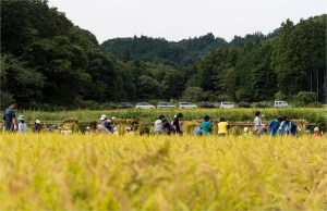 #Ogawamachi, #Saitama, #Japan, #naturephotography, #landscapes, #landscape, #mountain, #colorful, #sun, #peace, #green, #history, #silk, #geisha, #tourism, #tour, #travel, #trip, #romantic, #dream, #joy, #vacation, #adventure, #harvest, #photo, #guide, #rice, #English,＃小川町埼玉, #小川町, #埼玉, #日本,＃アート,＃自然,＃ハイキング,＃山,＃春,＃写真,＃マウント,＃カラー,#平和,＃緑,＃建築,＃建物,＃歴史,#シルク,#芸者,＃観光,＃旅行,＃旅行,＃ロマンチック,＃ドリーム,＃喜び, #養蚕, #小京都, #武蔵の小京都, #日本語, #ナーグル, #ハンス, #米, #田んぼ, #Natur, #Landschaft, #Berg, #Sonne, #Grün, #Frieden, #Seide, #Geschichte, #Reise, #Traum, #Wandern, #Foto, #Führung, #Deutsch, #Urlaub, #Abenteuer, #Ernte, #HansNagl, #Hans, #Nagl, #Yashikibokko, #Aktivität, #Feld, #Reis,