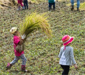 #Ogawamachi, #Saitama, #Japan, #naturephotography, #landscapes, #landscape, #mountain, #colorful, #sun, #peace, #green, #history, #silk, #geisha, #tourism, #tour, #travel, #trip, #romantic, #dream, #joy, #vacation, #adventure, #harvest, #photo, #guide, #rice, #English,＃小川町埼玉, #小川町, #埼玉, #日本,＃アート,＃自然,＃ハイキング,＃山,＃春,＃写真,＃マウント,＃カラー,#平和,＃緑,＃建築,＃建物,＃歴史,#シルク,#芸者,＃観光,＃旅行,＃旅行,＃ロマンチック,＃ドリーム,＃喜び, #養蚕, #小京都, #武蔵の小京都, #日本語, #ナーグル, #ハンス, #米, #田んぼ, #Natur, #Landschaft, #Berg, #Sonne, #Grün, #Frieden, #Seide, #Geschichte, #Reise, #Traum, #Wandern, #Foto, #Führung, #Deutsch, #Urlaub, #Abenteuer, #Ernte, #HansNagl, #Hans, #Nagl, #Yashikibokko, #Aktivität, #Feld, #Reis,