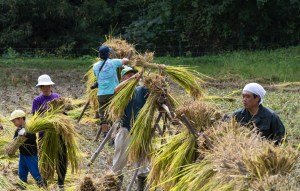 #Ogawamachi, #Saitama, #Japan, #naturephotography, #landscapes, #landscape, #mountain, #colorful, #sun, #peace, #green, #history, #silk, #geisha, #tourism, #tour, #travel, #trip, #romantic, #dream, #joy, #vacation, #adventure, #harvest, #photo, #guide, #rice, #English,＃小川町埼玉, #小川町, #埼玉, #日本,＃アート,＃自然,＃ハイキング,＃山,＃春,＃写真,＃マウント,＃カラー,#平和,＃緑,＃建築,＃建物,＃歴史,#シルク,#芸者,＃観光,＃旅行,＃旅行,＃ロマンチック,＃ドリーム,＃喜び, #養蚕, #小京都, #武蔵の小京都, #日本語, #ナーグル, #ハンス, #米, #田んぼ, #Natur, #Landschaft, #Berg, #Sonne, #Grün, #Frieden, #Seide, #Geschichte, #Reise, #Traum, #Wandern, #Foto, #Führung, #Deutsch, #Urlaub, #Abenteuer, #Ernte, #HansNagl, #Hans, #Nagl, #Yashikibokko, #Aktivität, #Feld, #Reis,