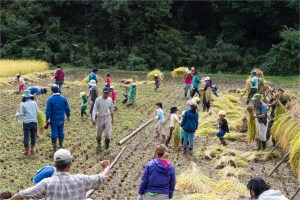 #Ogawamachi, #Saitama, #Japan, #naturephotography, #landscapes, #landscape, #mountain, #colorful, #sun, #peace, #green, #history, #silk, #geisha, #tourism, #tour, #travel, #trip, #romantic, #dream, #joy, #vacation, #adventure, #harvest, #photo, #guide, #rice, #English,＃小川町埼玉, #小川町, #埼玉, #日本,＃アート,＃自然,＃ハイキング,＃山,＃春,＃写真,＃マウント,＃カラー,#平和,＃緑,＃建築,＃建物,＃歴史,#シルク,#芸者,＃観光,＃旅行,＃旅行,＃ロマンチック,＃ドリーム,＃喜び, #養蚕, #小京都, #武蔵の小京都, #日本語, #ナーグル, #ハンス, #米, #田んぼ, #Natur, #Landschaft, #Berg, #Sonne, #Grün, #Frieden, #Seide, #Geschichte, #Reise, #Traum, #Wandern, #Foto, #Führung, #Deutsch, #Urlaub, #Abenteuer, #Ernte, #HansNagl, #Hans, #Nagl, #Yashikibokko, #Aktivität, #Feld, #Reis,