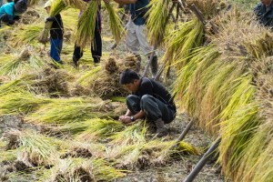 #Ogawamachi, #Saitama, #Japan, #naturephotography, #landscapes, #landscape, #mountain, #colorful, #sun, #peace, #green, #history, #silk, #geisha, #tourism, #tour, #travel, #trip, #romantic, #dream, #joy, #vacation, #adventure, #harvest, #photo, #guide, #rice, #English,＃小川町埼玉, #小川町, #埼玉, #日本,＃アート,＃自然,＃ハイキング,＃山,＃春,＃写真,＃マウント,＃カラー,#平和,＃緑,＃建築,＃建物,＃歴史,#シルク,#芸者,＃観光,＃旅行,＃旅行,＃ロマンチック,＃ドリーム,＃喜び, #養蚕, #小京都, #武蔵の小京都, #日本語, #ナーグル, #ハンス, #米, #田んぼ, #Natur, #Landschaft, #Berg, #Sonne, #Grün, #Frieden, #Seide, #Geschichte, #Reise, #Traum, #Wandern, #Foto, #Führung, #Deutsch, #Urlaub, #Abenteuer, #Ernte, #HansNagl, #Hans, #Nagl, #Yashikibokko, #Aktivität, #Feld, #Reis,