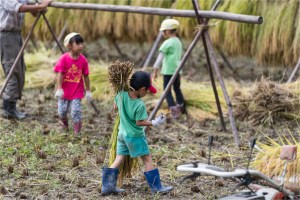 #Ogawamachi, #Saitama, #Japan, #naturephotography, #landscapes, #landscape, #mountain, #colorful, #sun, #peace, #green, #history, #silk, #geisha, #tourism, #tour, #travel, #trip, #romantic, #dream, #joy, #vacation, #adventure, #harvest, #photo, #guide, #rice, #English,＃小川町埼玉, #小川町, #埼玉, #日本,＃アート,＃自然,＃ハイキング,＃山,＃春,＃写真,＃マウント,＃カラー,#平和,＃緑,＃建築,＃建物,＃歴史,#シルク,#芸者,＃観光,＃旅行,＃旅行,＃ロマンチック,＃ドリーム,＃喜び, #養蚕, #小京都, #武蔵の小京都, #日本語, #ナーグル, #ハンス, #米, #田んぼ, #Natur, #Landschaft, #Berg, #Sonne, #Grün, #Frieden, #Seide, #Geschichte, #Reise, #Traum, #Wandern, #Foto, #Führung, #Deutsch, #Urlaub, #Abenteuer, #Ernte, #HansNagl, #Hans, #Nagl, #Yashikibokko, #Aktivität, #Feld, #Reis,