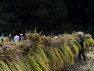 #Ogawamachi, #Saitama, #Japan, #naturephotography, #landscapes, #landscape, #mountain, #colorful, #sun, #peace, #green, #history, #silk, #geisha, #tourism, #tour, #travel, #trip, #romantic, #dream, #joy, #vacation, #adventure, #harvest, #photo, #guide, #rice, #English,＃小川町埼玉, #小川町, #埼玉, #日本,＃アート,＃自然,＃ハイキング,＃山,＃春,＃写真,＃マウント,＃カラー,#平和,＃緑,＃建築,＃建物,＃歴史,#シルク,#芸者,＃観光,＃旅行,＃旅行,＃ロマンチック,＃ドリーム,＃喜び, #養蚕, #小京都, #武蔵の小京都, #日本語, #ナーグル, #ハンス, #米, #田んぼ, #Natur, #Landschaft, #Berg, #Sonne, #Grün, #Frieden, #Seide, #Geschichte, #Reise, #Traum, #Wandern, #Foto, #Führung, #Deutsch, #Urlaub, #Abenteuer, #Ernte, #HansNagl, #Hans, #Nagl, #Yashikibokko, #Aktivität, #Feld, #Reis,